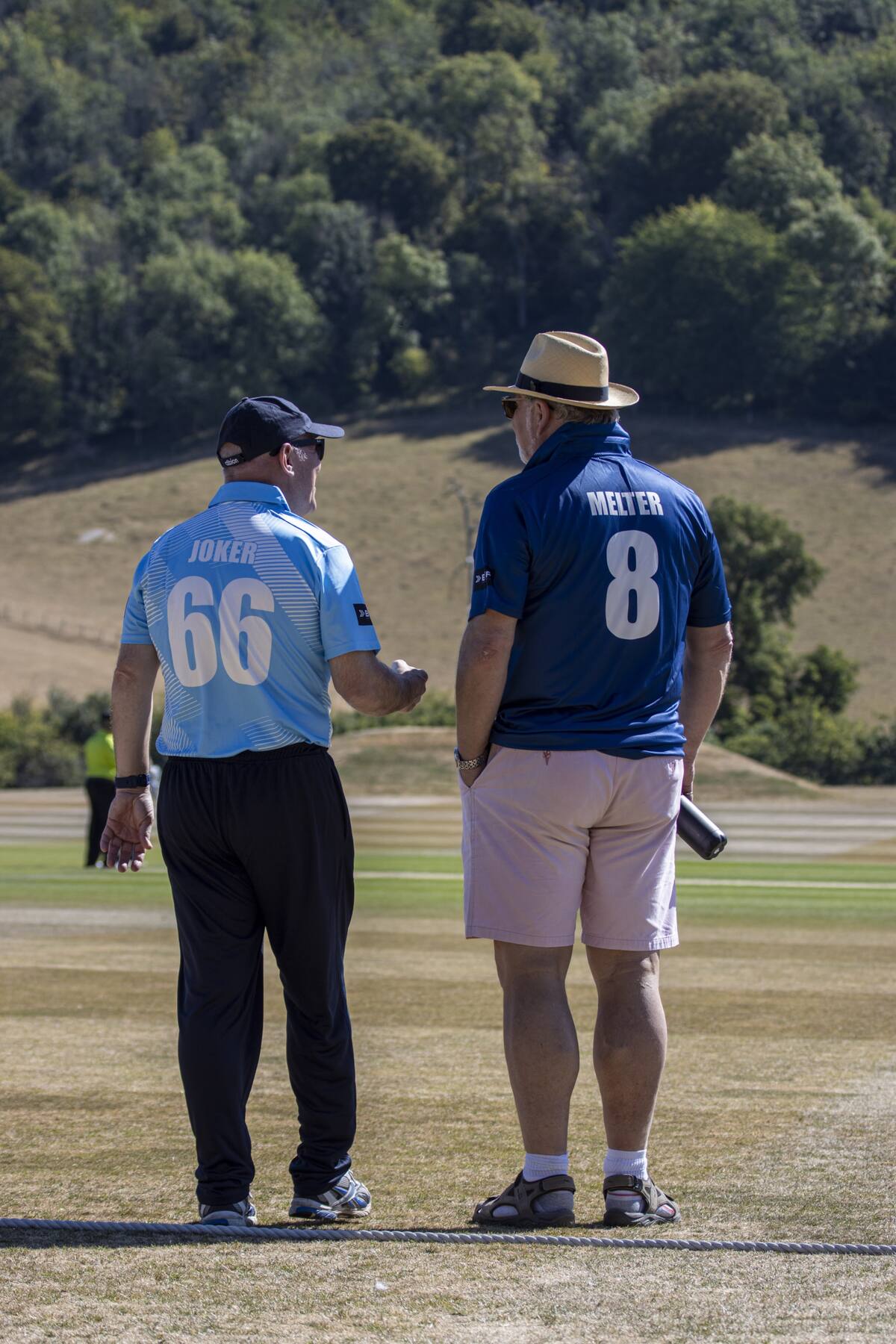 Cricket at Wormsley