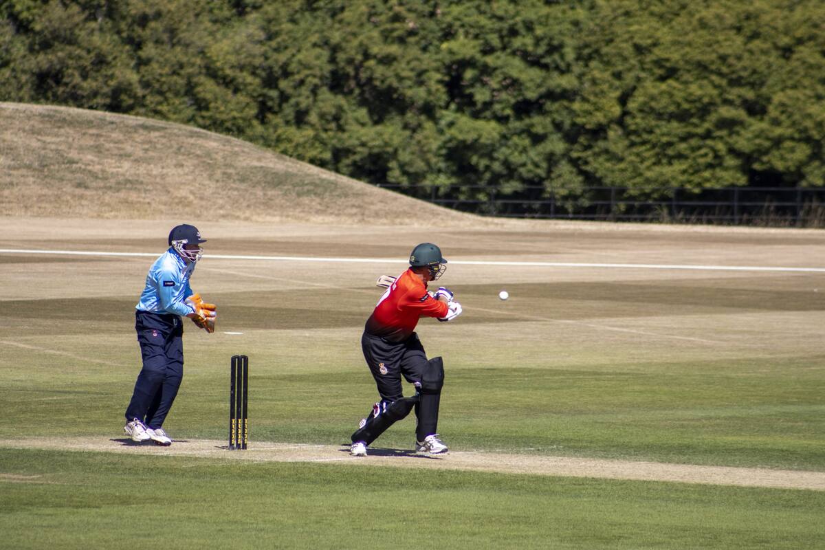 Cricket at Wormsley