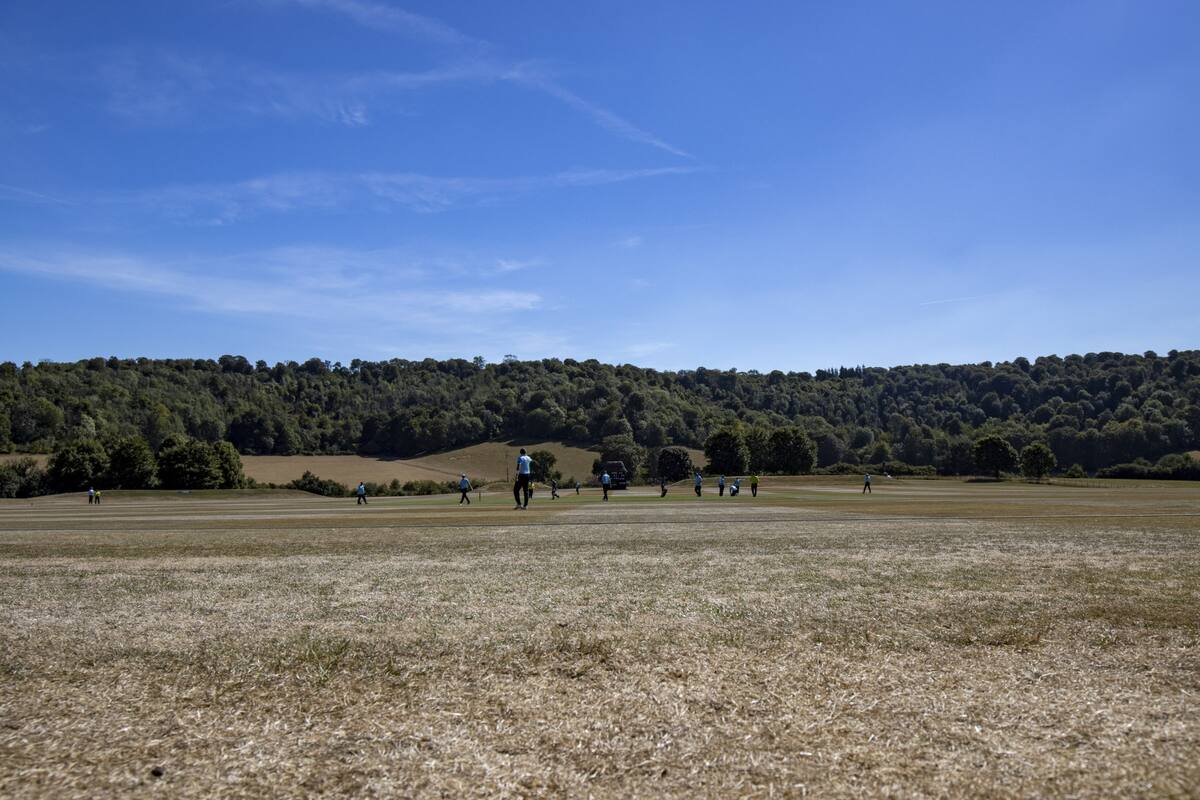 Cricket at Wormsley